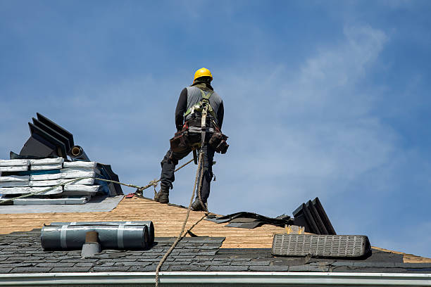 Professional Storm Damage Roof Repair technician working in Bloomfield, NM